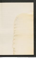 Nachlass Franz Steindachner, Brief von Franz Liechtenstern an Franz Steindachner (23.04.1882), Inv.Nr. 303.04, Seite 3